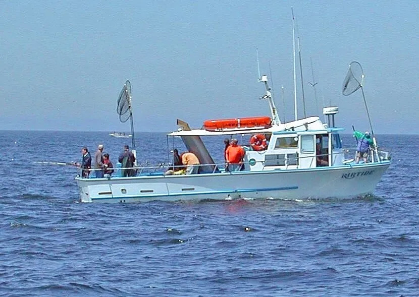 The Riptide Boat